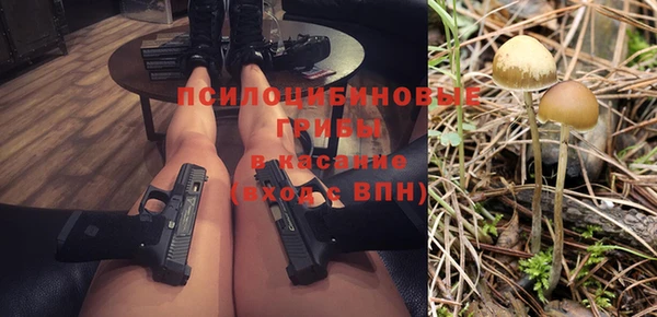 круглые Алзамай
