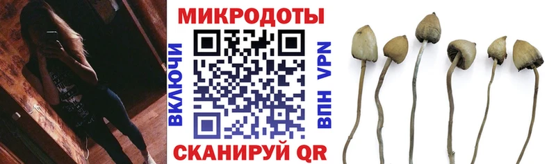 Галлюциногенные грибы Psilocybine cubensis  Калачинск 